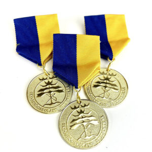 BRÖSTMEDALJ - Image 4